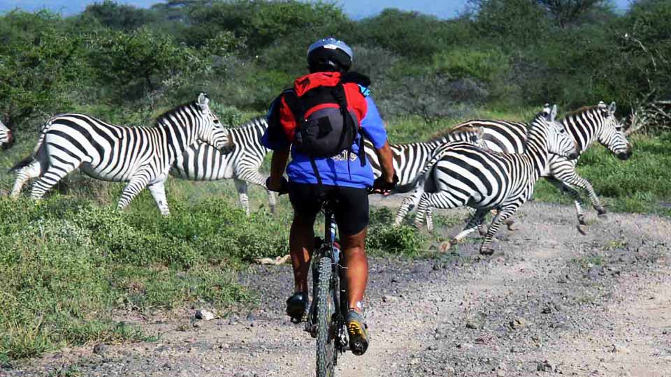 Tanzania Bike Safaris