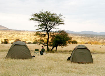 Tanzania Budget Camping Safarii