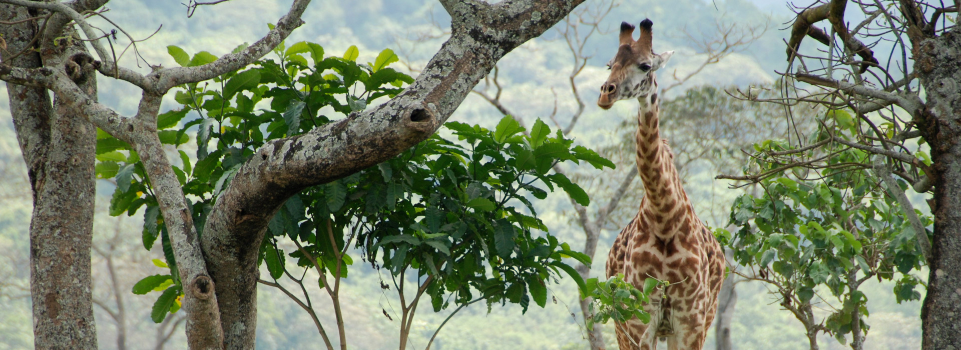 Arusha Day Trip